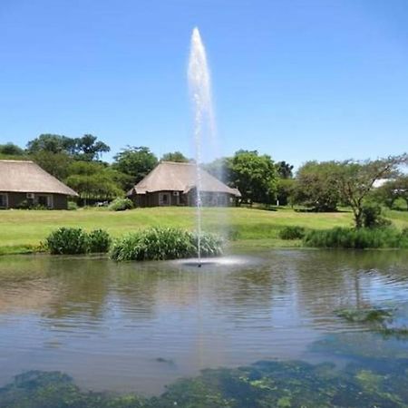 بيترماريتزبورغ Ascot Bush Lodge الغرفة الصورة