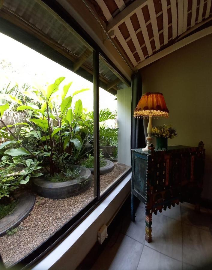 بيترماريتزبورغ Ascot Bush Lodge المظهر الخارجي الصورة