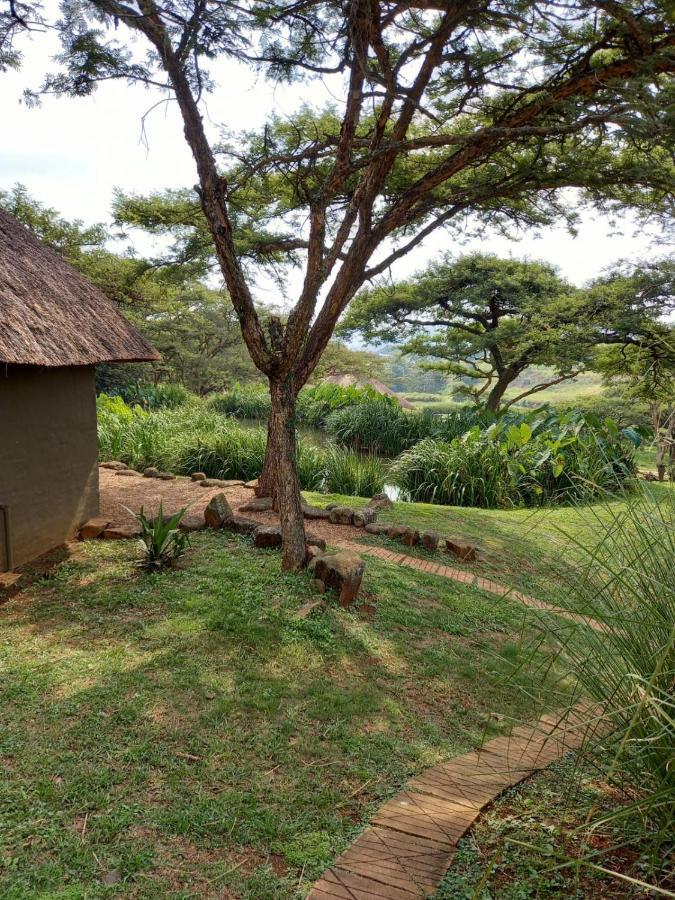 بيترماريتزبورغ Ascot Bush Lodge المظهر الخارجي الصورة