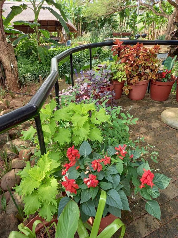 بيترماريتزبورغ Ascot Bush Lodge المظهر الخارجي الصورة