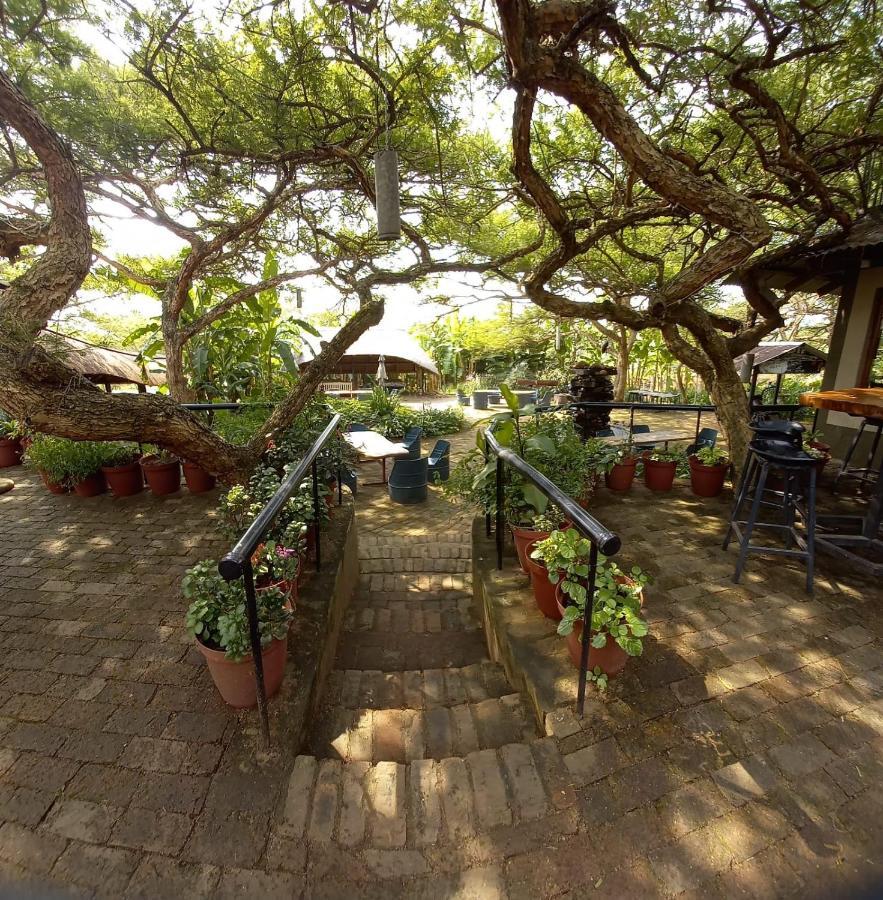 بيترماريتزبورغ Ascot Bush Lodge المظهر الخارجي الصورة