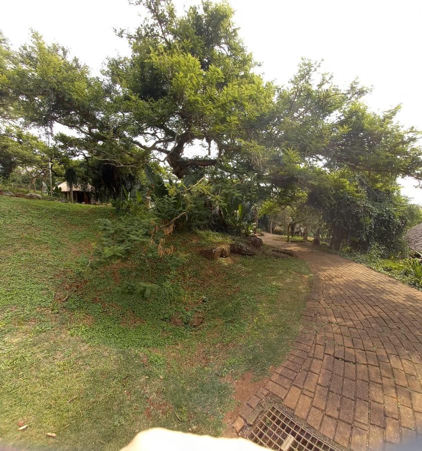 بيترماريتزبورغ Ascot Bush Lodge المظهر الخارجي الصورة